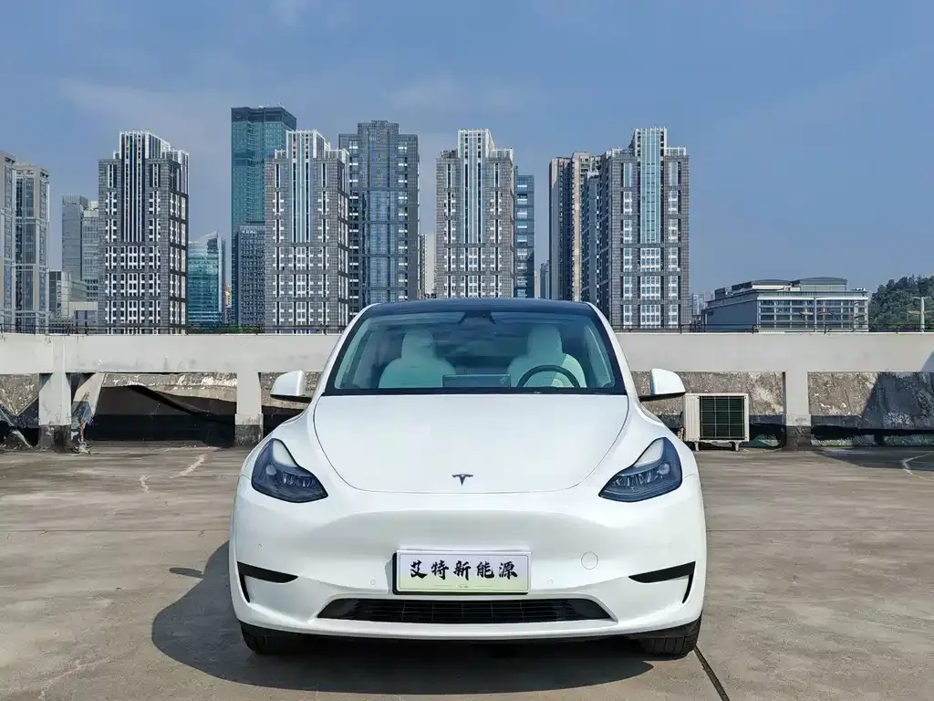 Tesla Model Y — фото 10