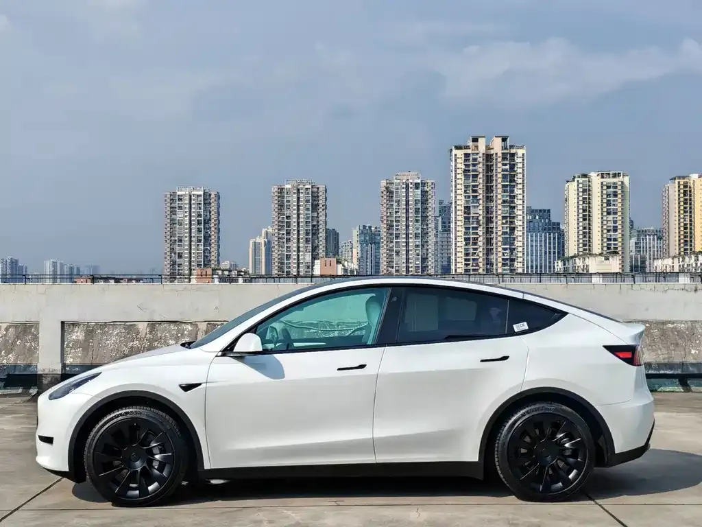 Tesla Model Y — фото 7