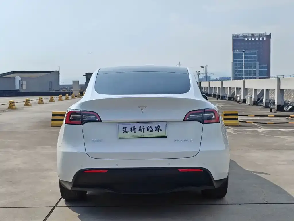 Tesla Model Y — фото 3
