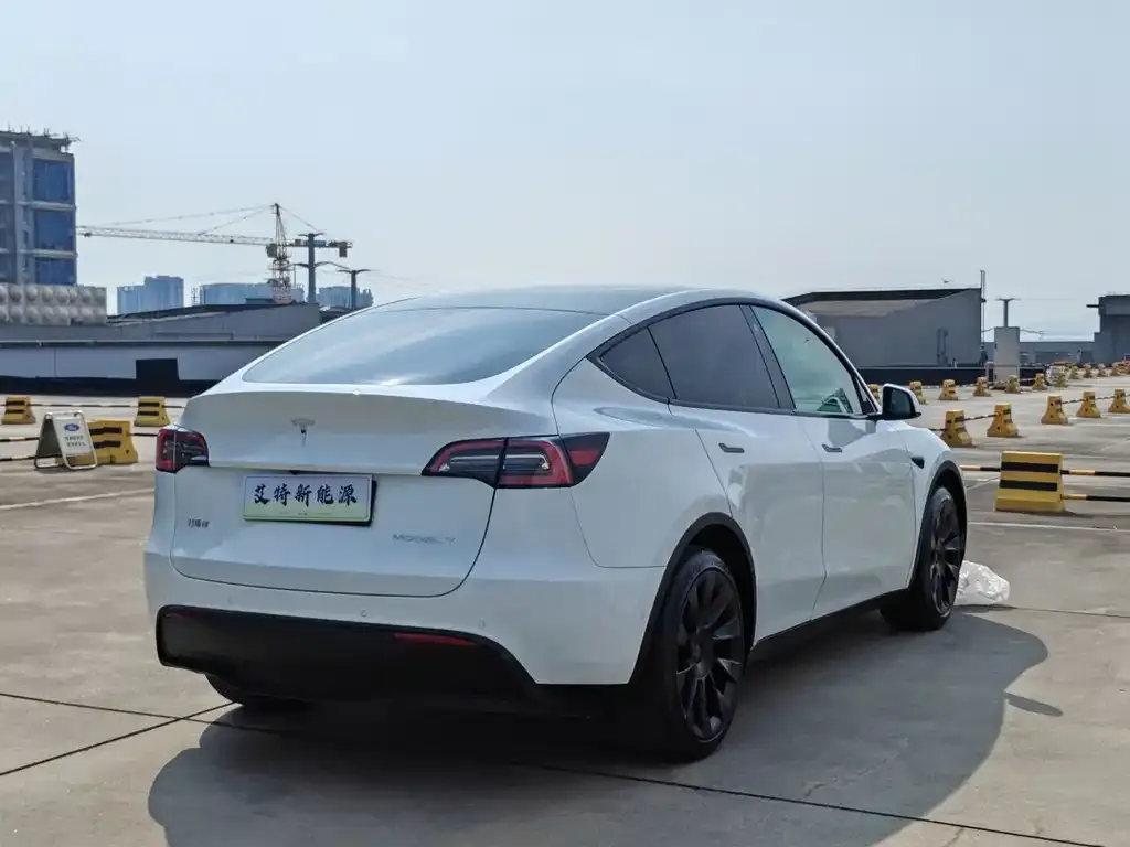 Tesla Model Y — фото 5