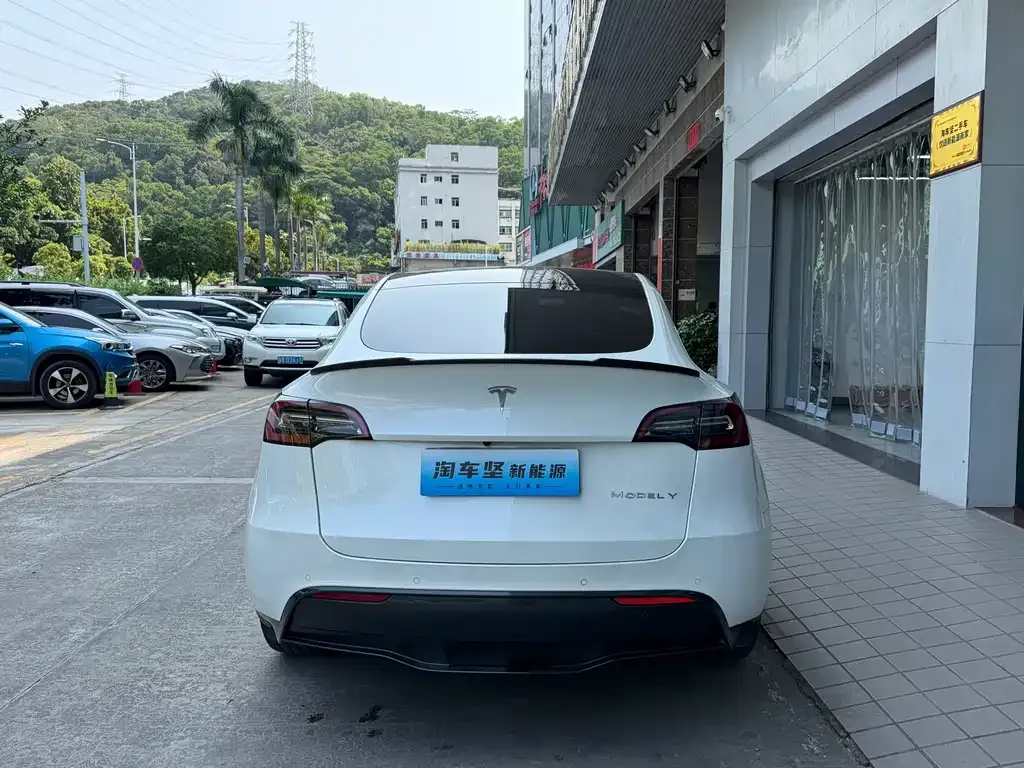 Tesla Model Y — фото 9