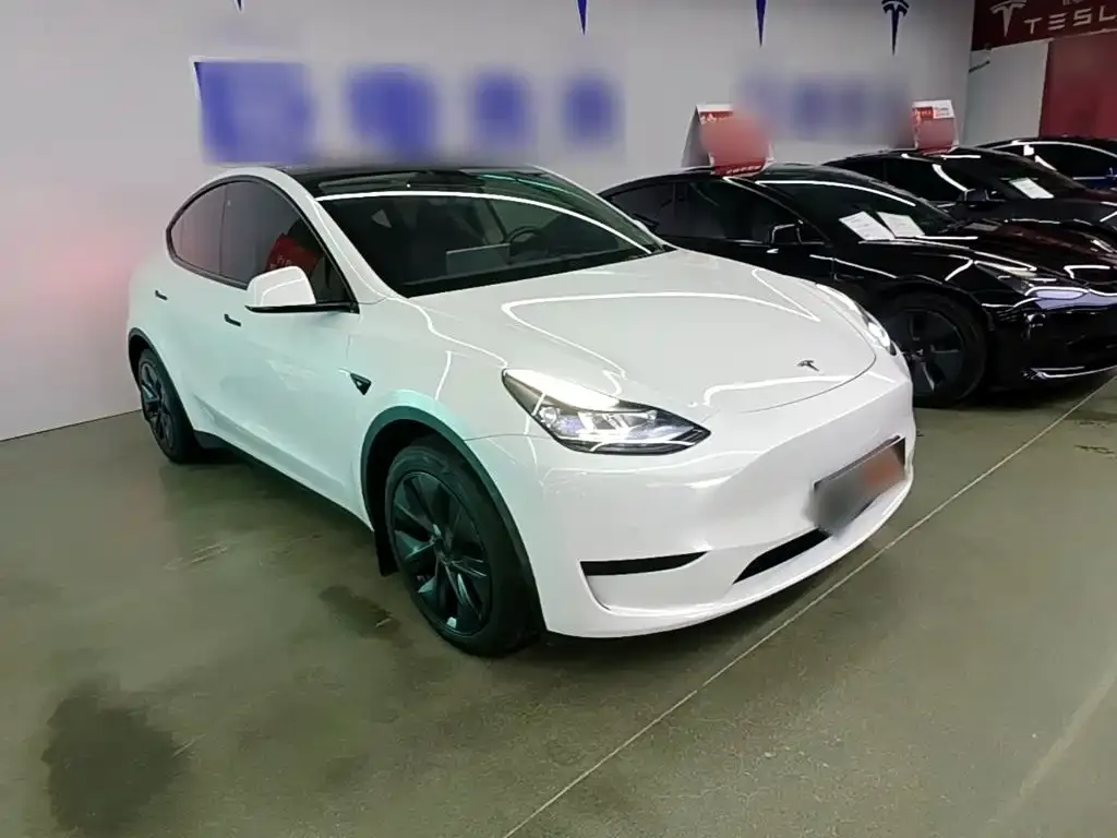 Tesla Model Y — фото 9