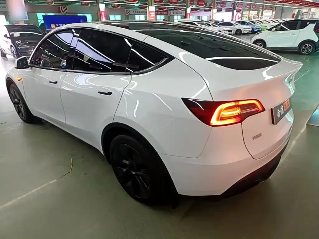 Tesla Model Y — фото 6