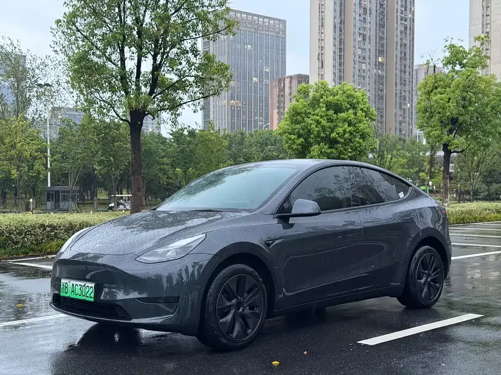 Tesla Model Y — фото 1