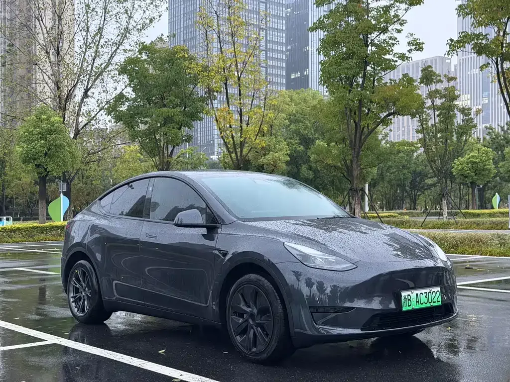 Tesla Model Y — фото 7