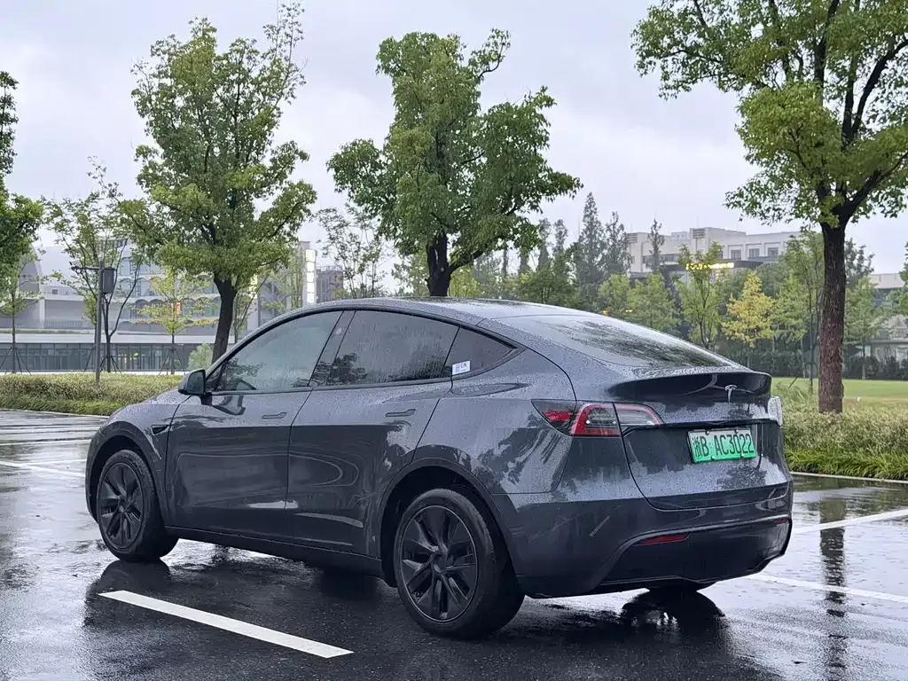 Tesla Model Y — фото 10