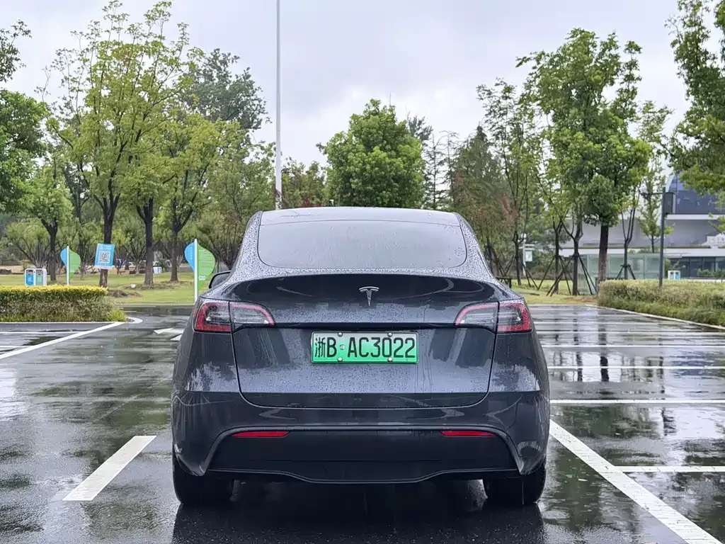 Tesla Model Y — фото 8