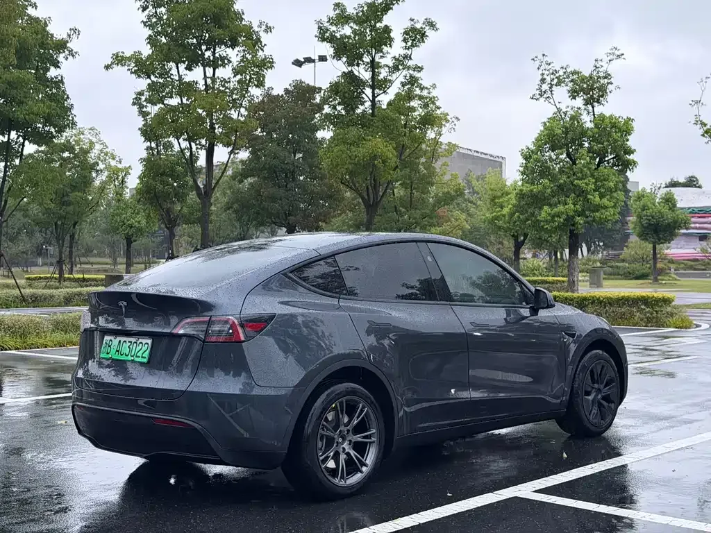 Tesla Model Y — фото 9
