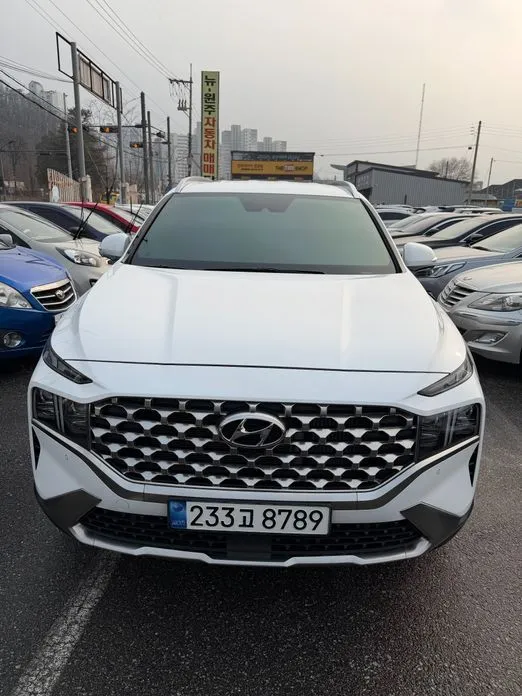 Hyundai Santafe — фото 1