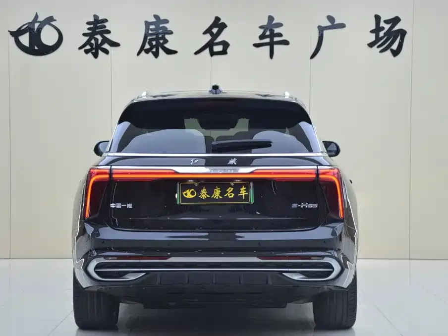 Hongqi E-HS9 — фото 3
