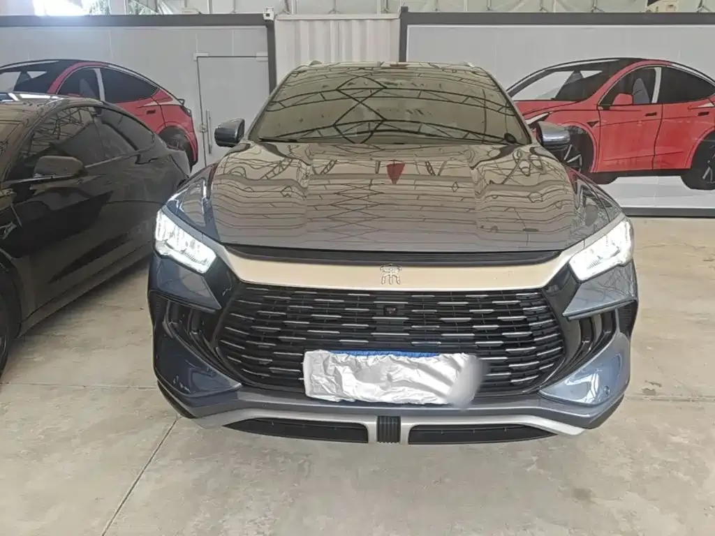 BYD Pro New Energy — фото 5