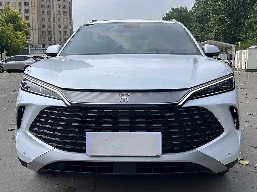 BYD L DM-i — фото 5