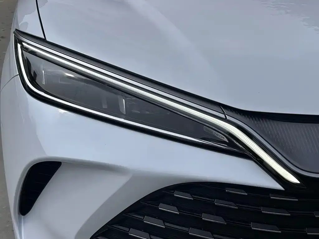 BYD L DM-i — фото 2
