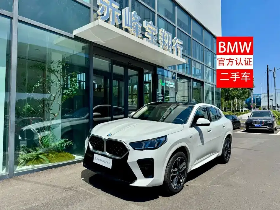 BMW X2 (Import) — фото 1