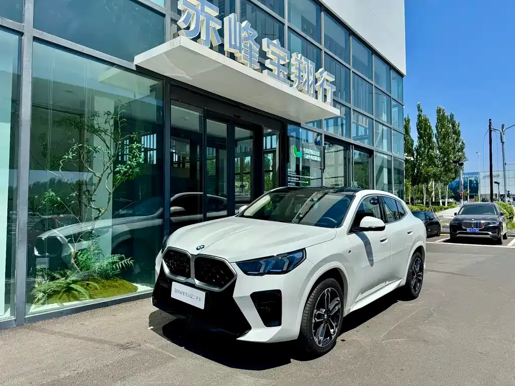 BMW X2 (Import) — фото 7