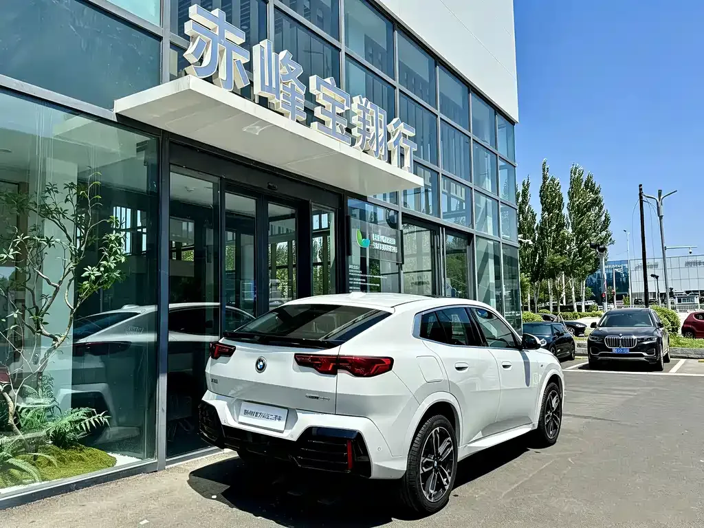 BMW X2 (Import) — фото 10