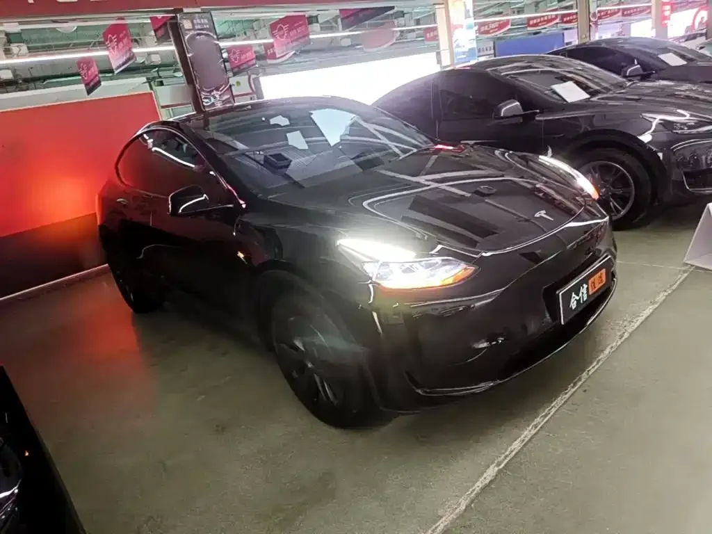 Tesla Model Y — фото 8