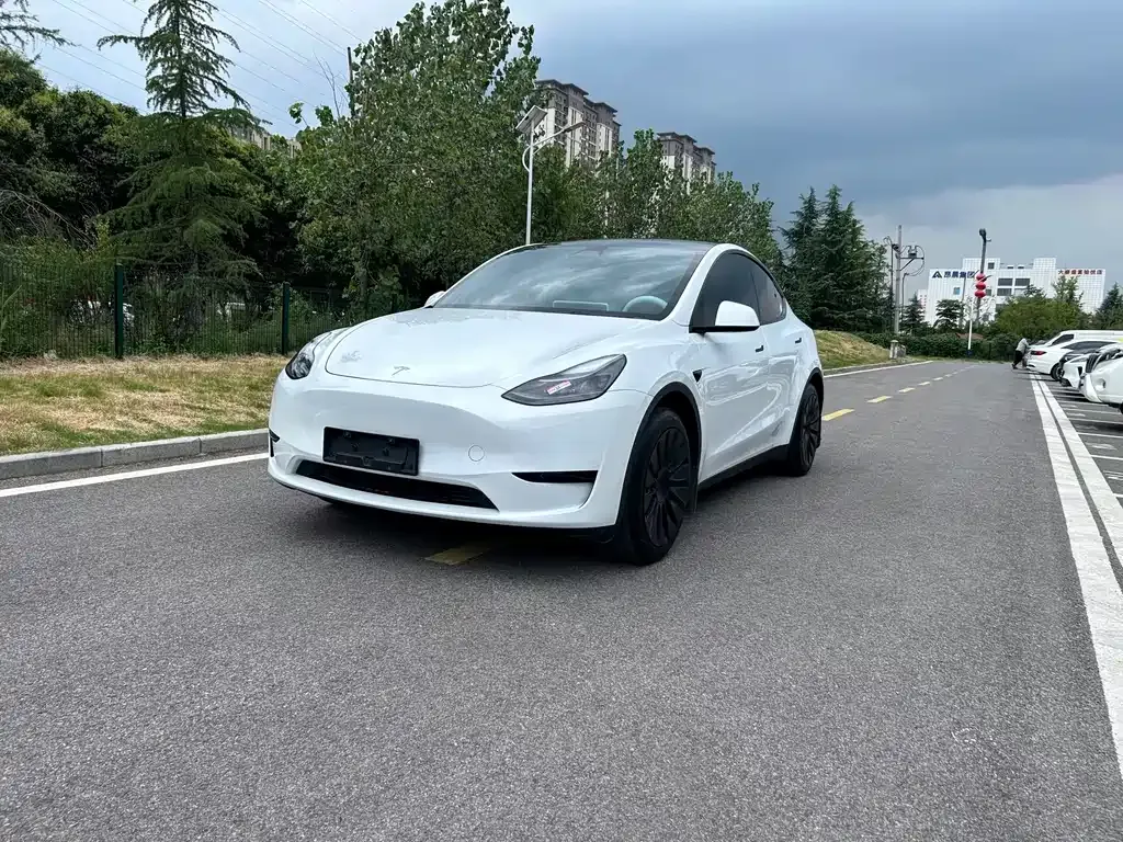Tesla Model Y — фото 1