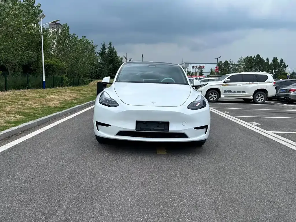 Tesla Model Y — фото 3