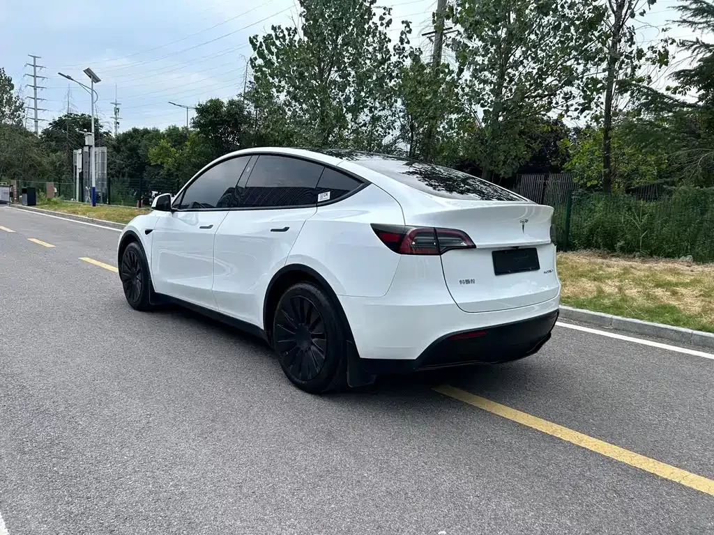 Tesla Model Y — фото 5
