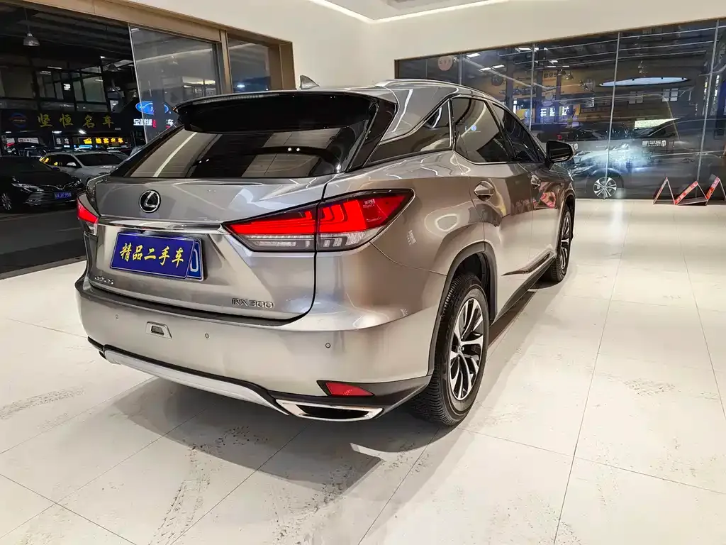 Lexus RX — фото 10