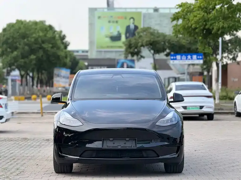 Tesla Model Y — фото 9