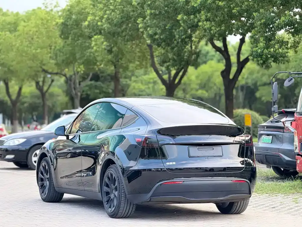 Tesla Model Y — фото 8