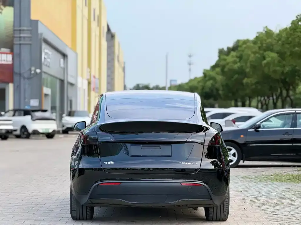 Tesla Model Y — фото 5