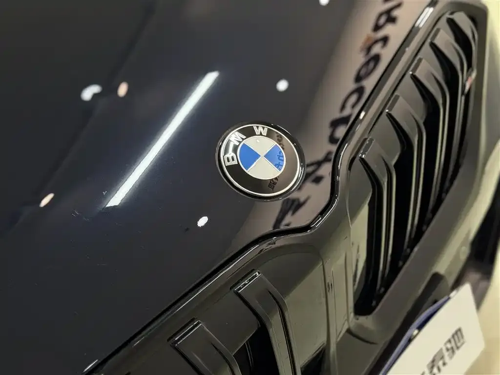 BMW X1 — фото 4