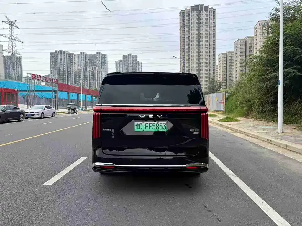 Wey 魏牌 高山新能源 — фото 8