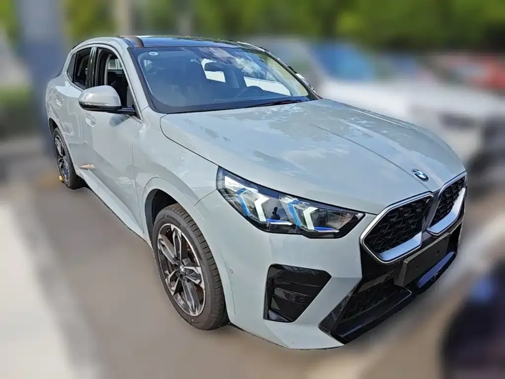 BMW X2 (Import) — фото 9