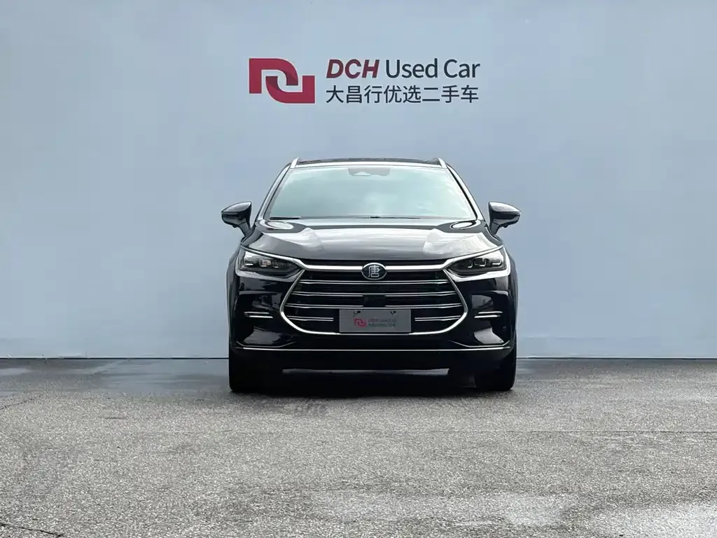 BYD Tang New Energy — фото 10