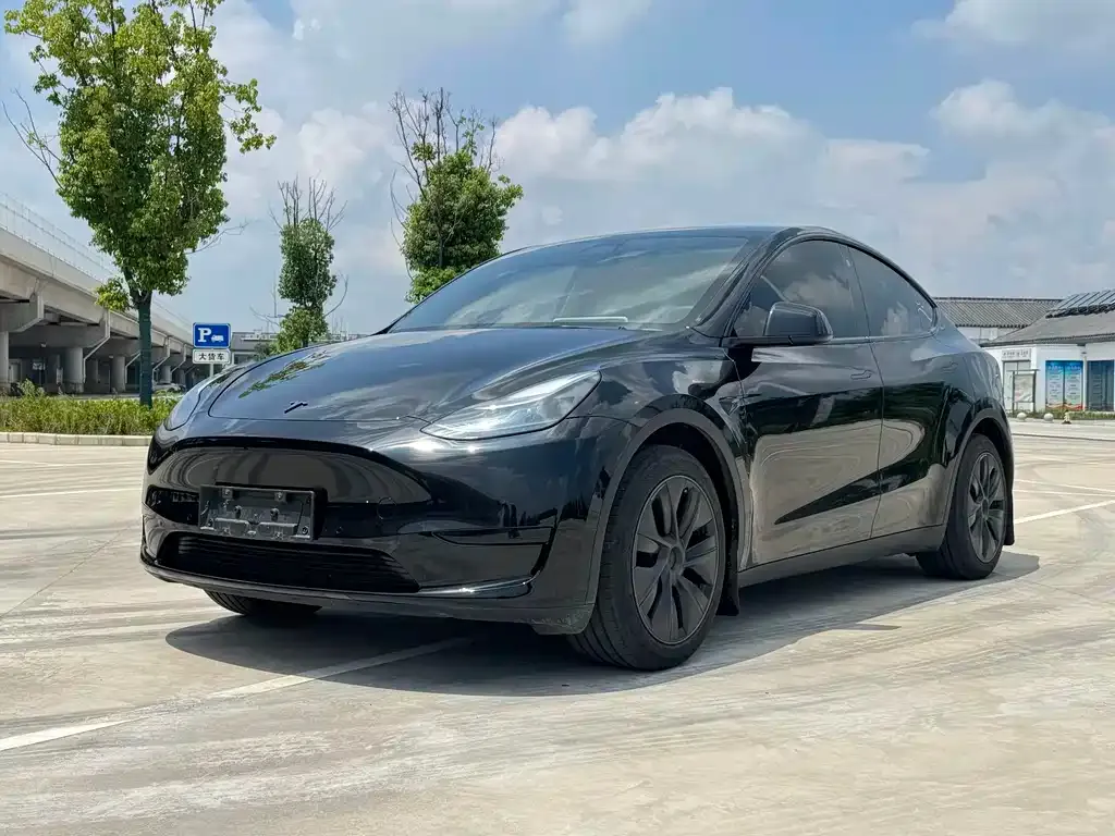 Tesla Model Y — фото 1