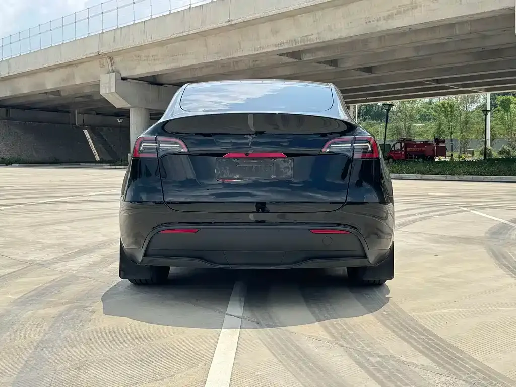 Tesla Model Y — фото 7