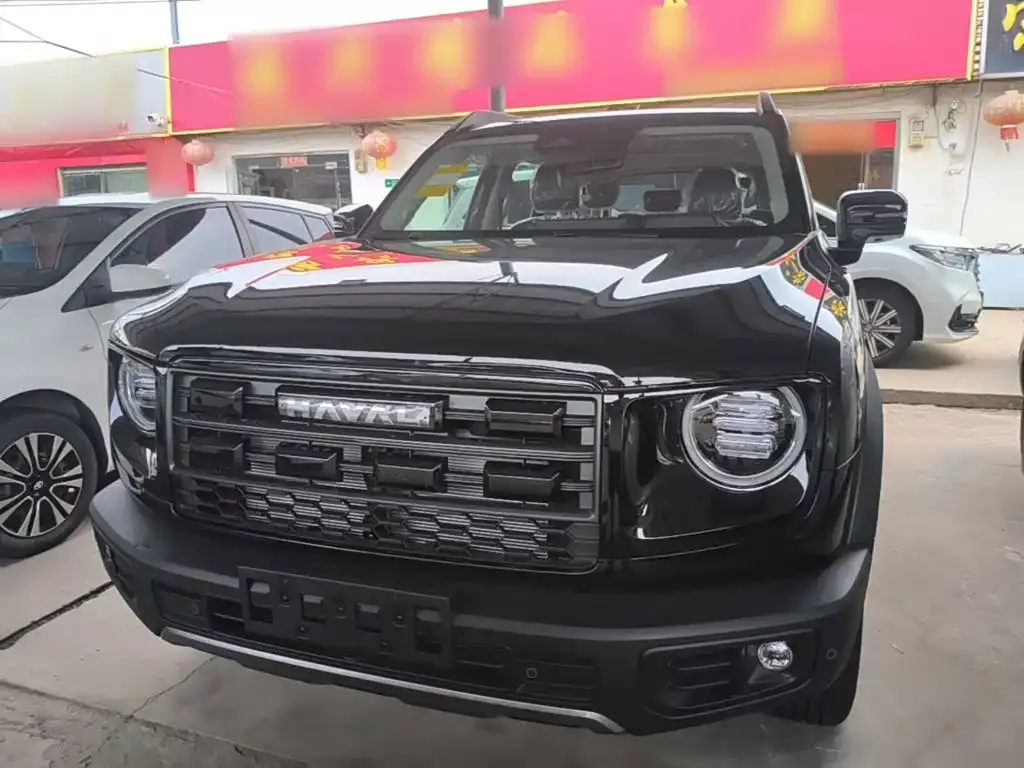 Haval Big Dog — фото 10