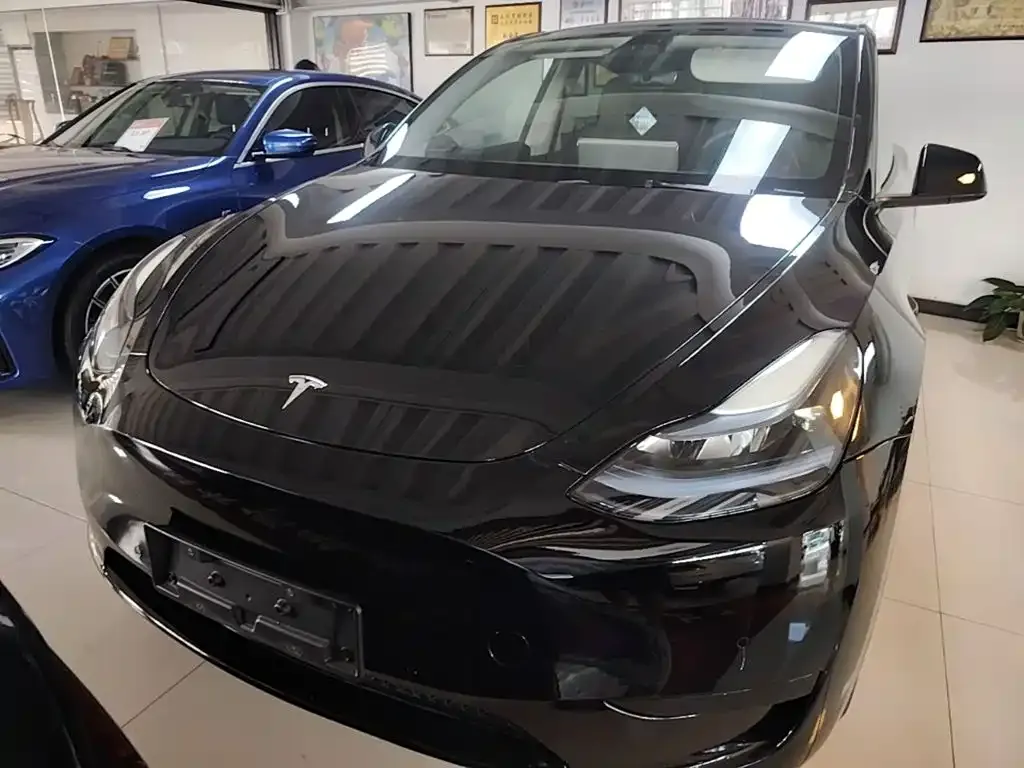 Tesla Model Y — фото 8