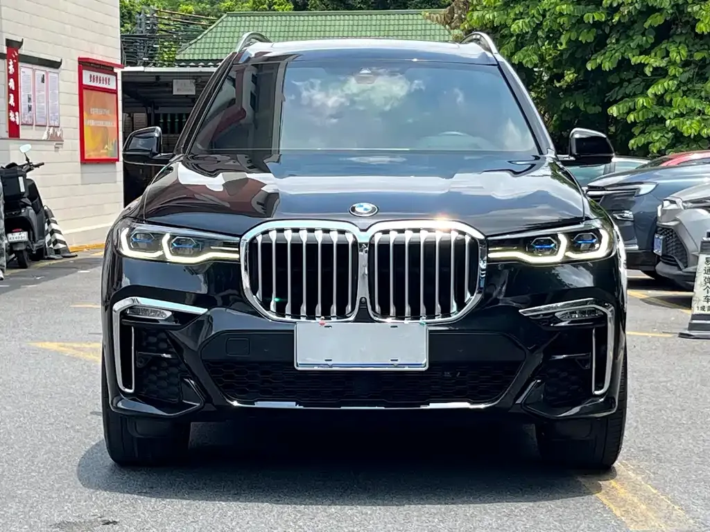 BMW X7 — фото 6