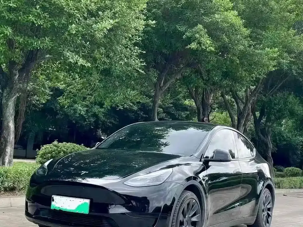 Tesla Model Y — фото 1