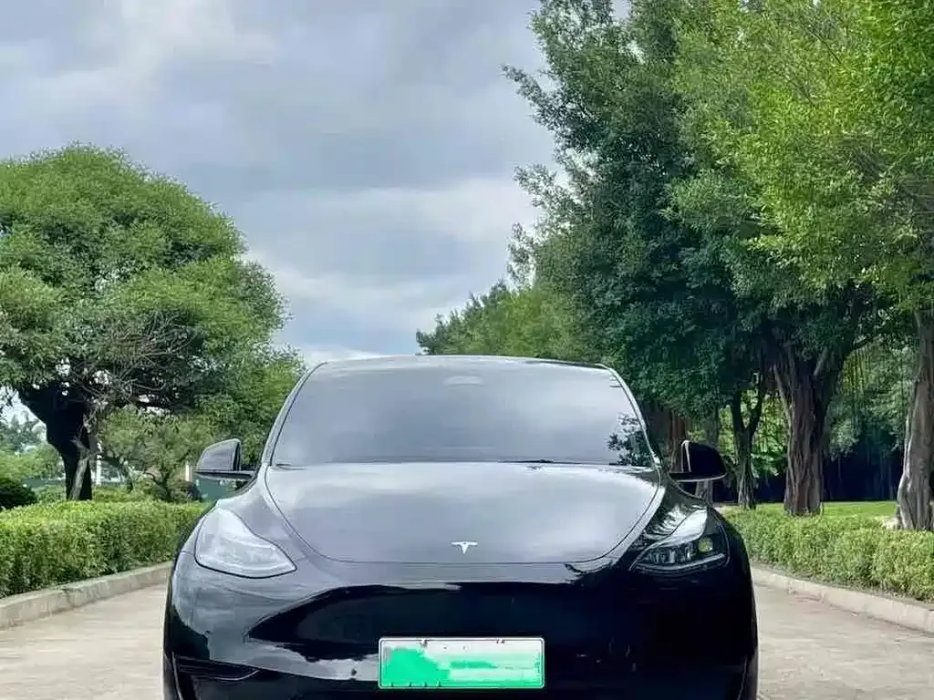 Tesla Model Y — фото 5