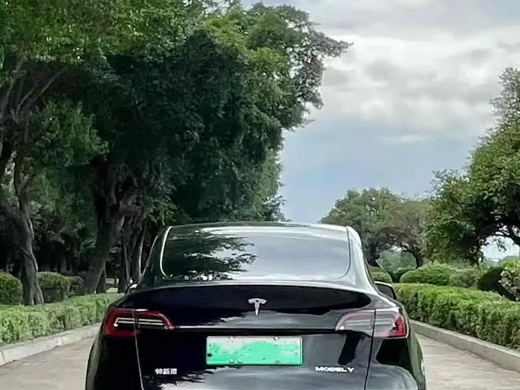 Tesla Model Y — фото 8