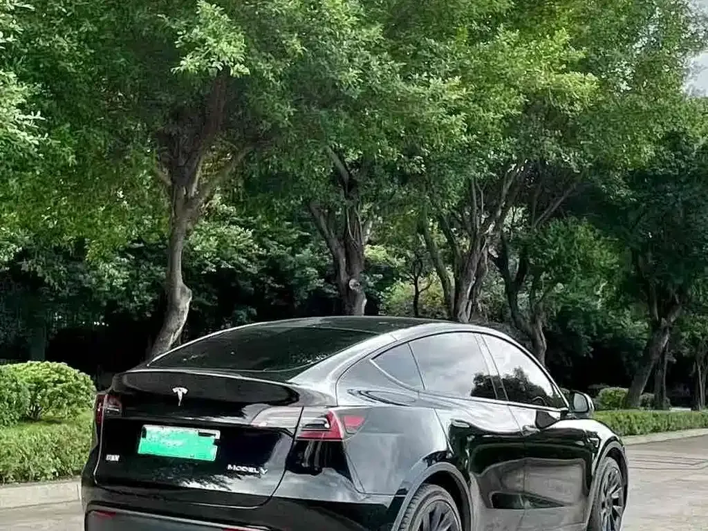Tesla Model Y — фото 6