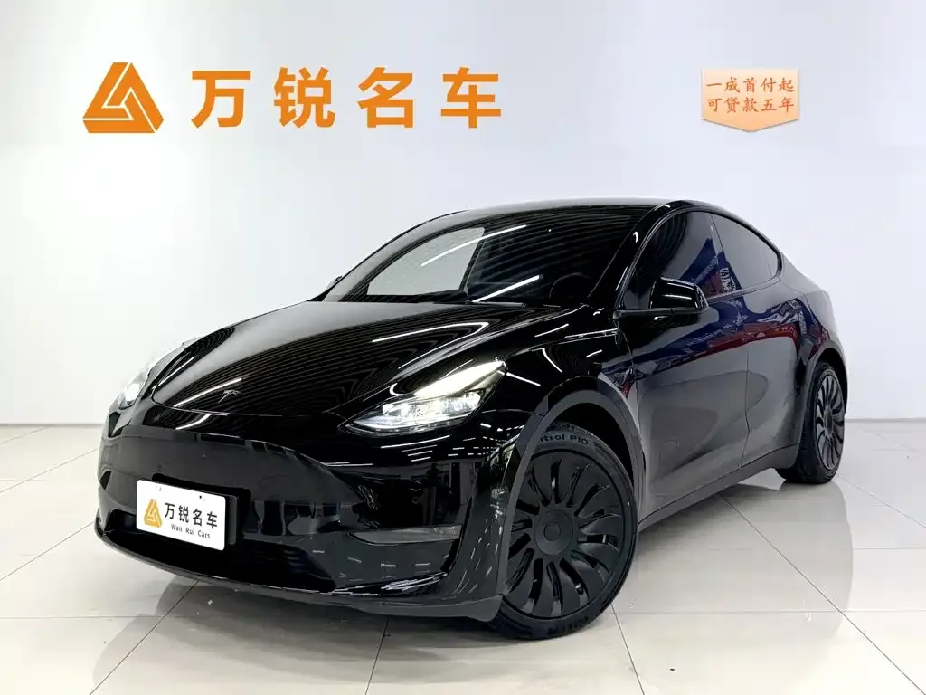 Tesla Model Y — фото 1