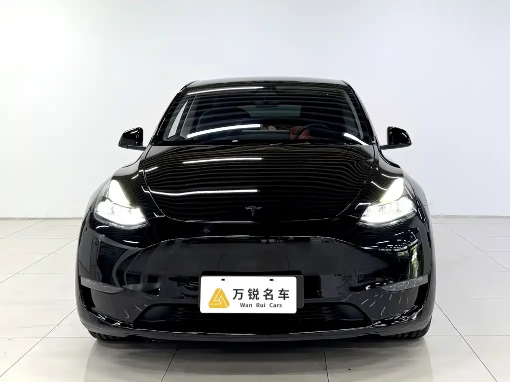 Tesla Model Y — фото 10