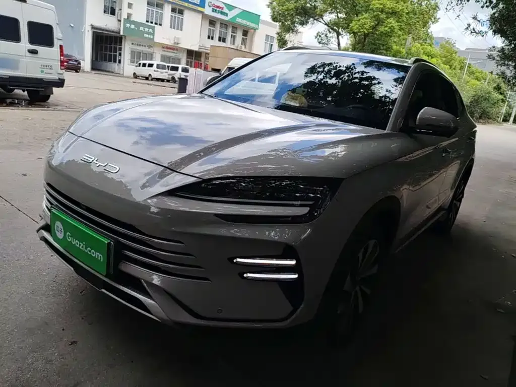 BYD PLUS New Energy — фото 1