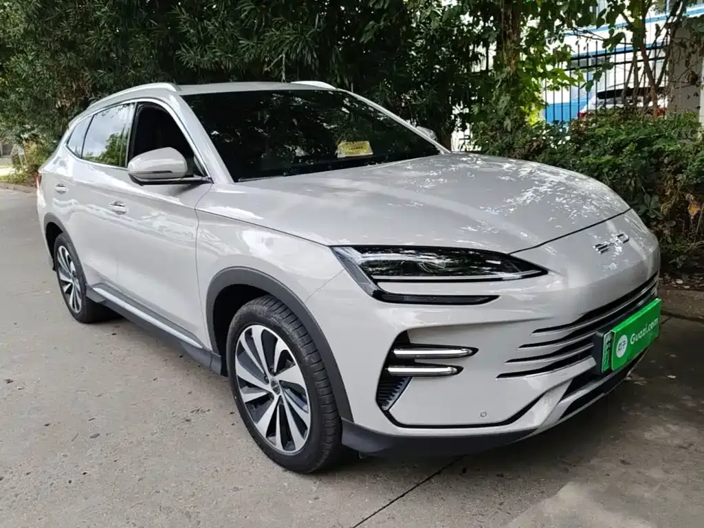 BYD PLUS New Energy — фото 6