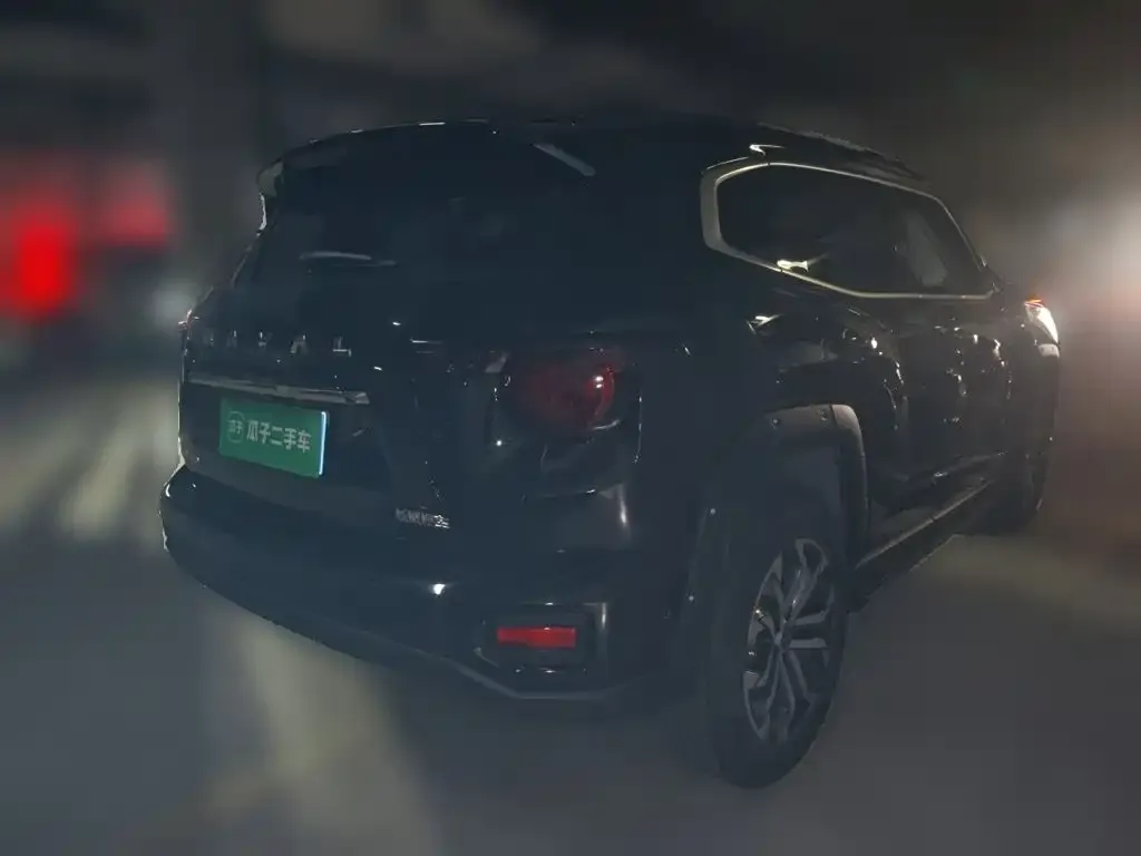 Haval H7 (Big Dog Plus) — фото 2