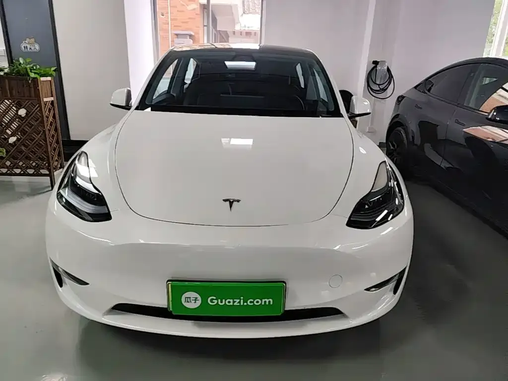 Tesla Model Y — фото 2