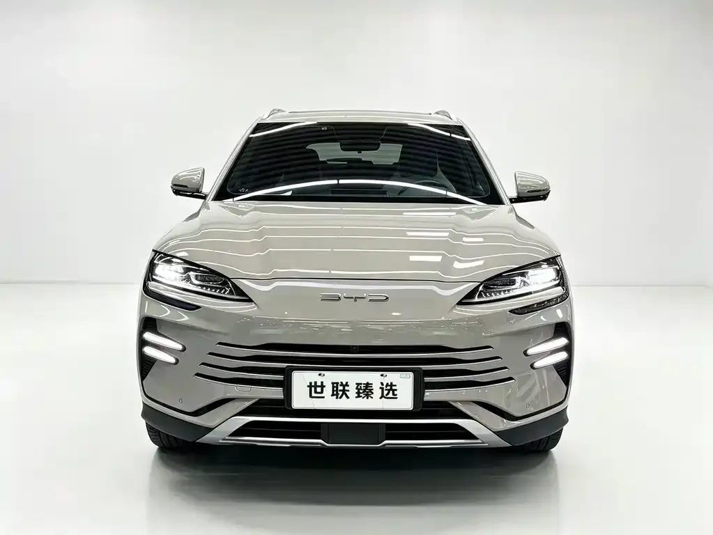 BYD PLUS New Energy — фото 1