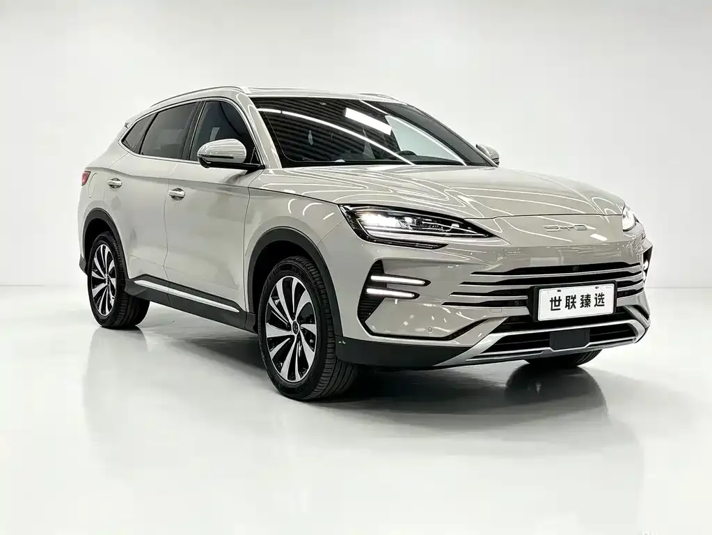 BYD PLUS New Energy — фото 3