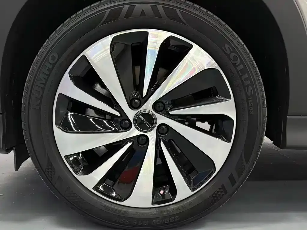 BYD PLUS New Energy — фото 8